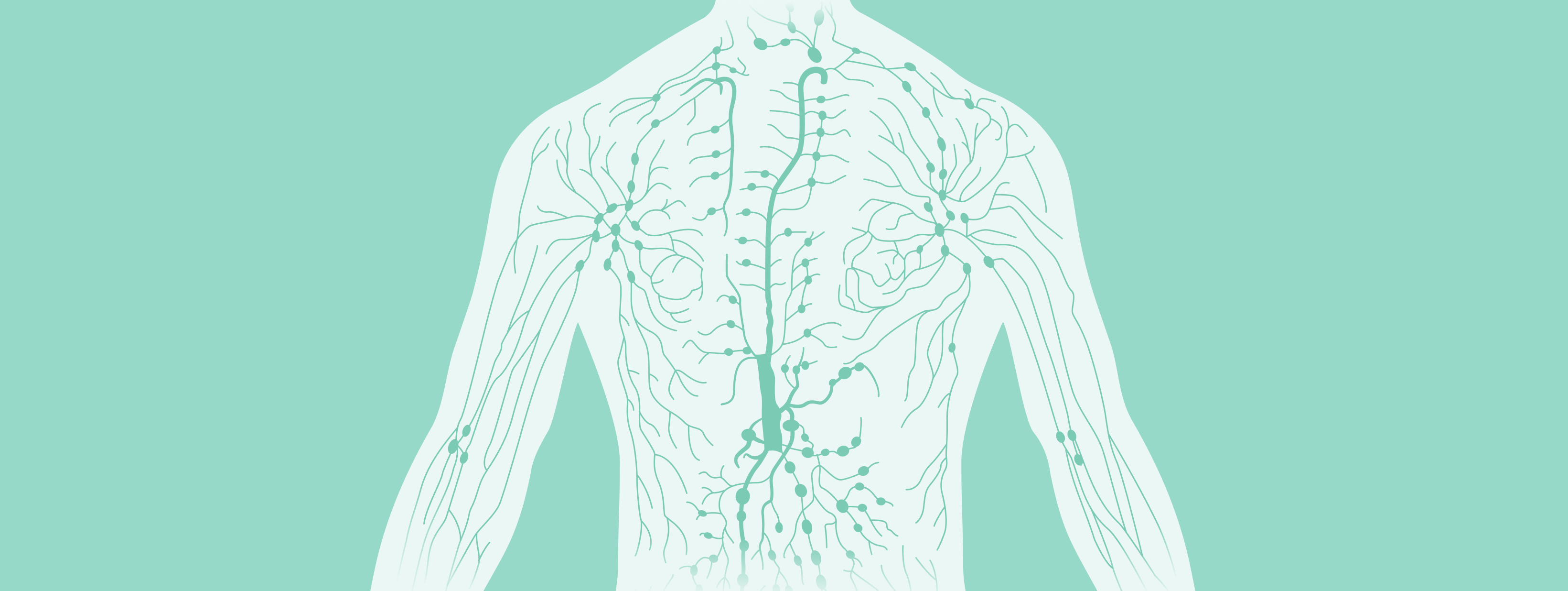 HodgkinLymphom I MSD Gesundheit Schweiz